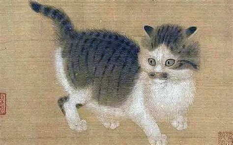 are cats from china